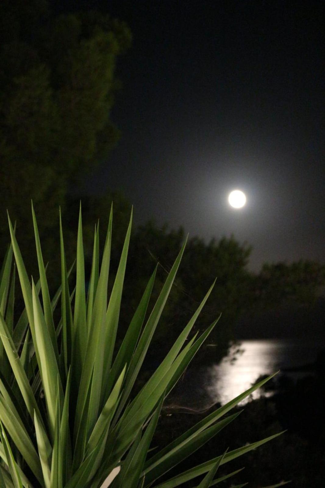 Holiday Hvar Vrbanj Dış mekan fotoğraf